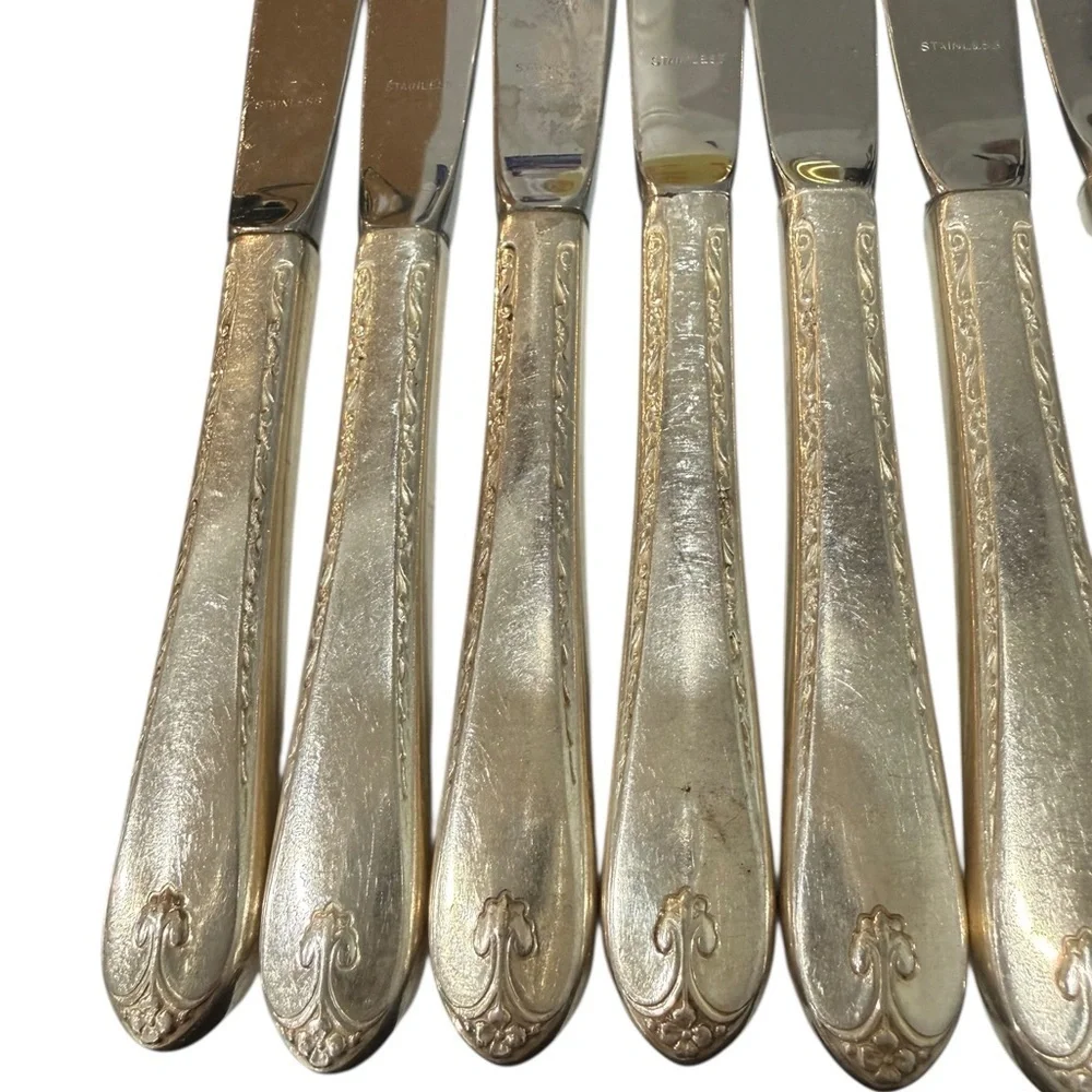 W M Rogers & Son Silverplate Flatware 8 Dinner Knives Exquisite IS Silver Co.